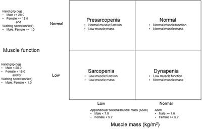 Body Composition Characteristics of Community-Dwelling Older Adults With Dynapenia